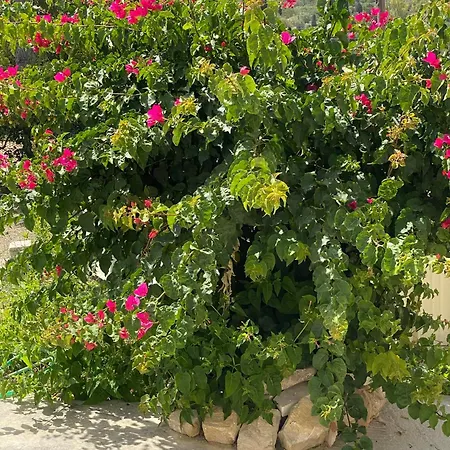 Holiday home Sappir House Pigadhakia